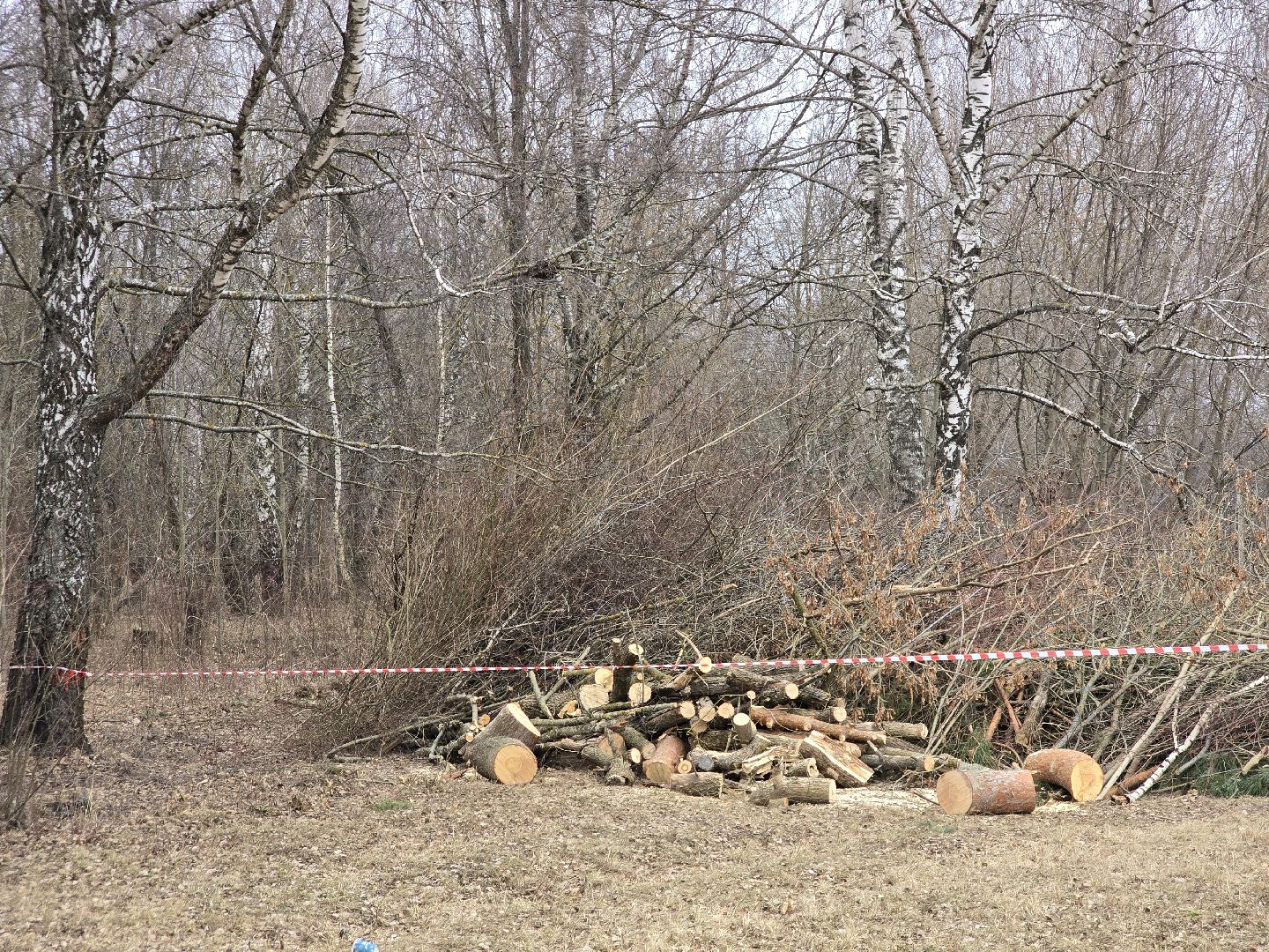 Коломна, благоустройство, парки подмосковья,