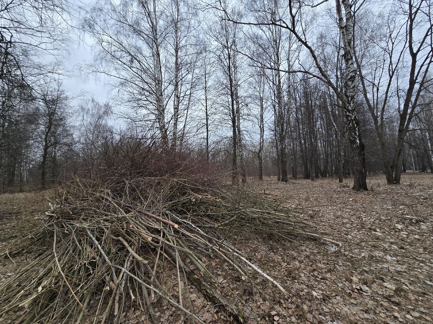Коломна, благоустройство, парки подмосковья,