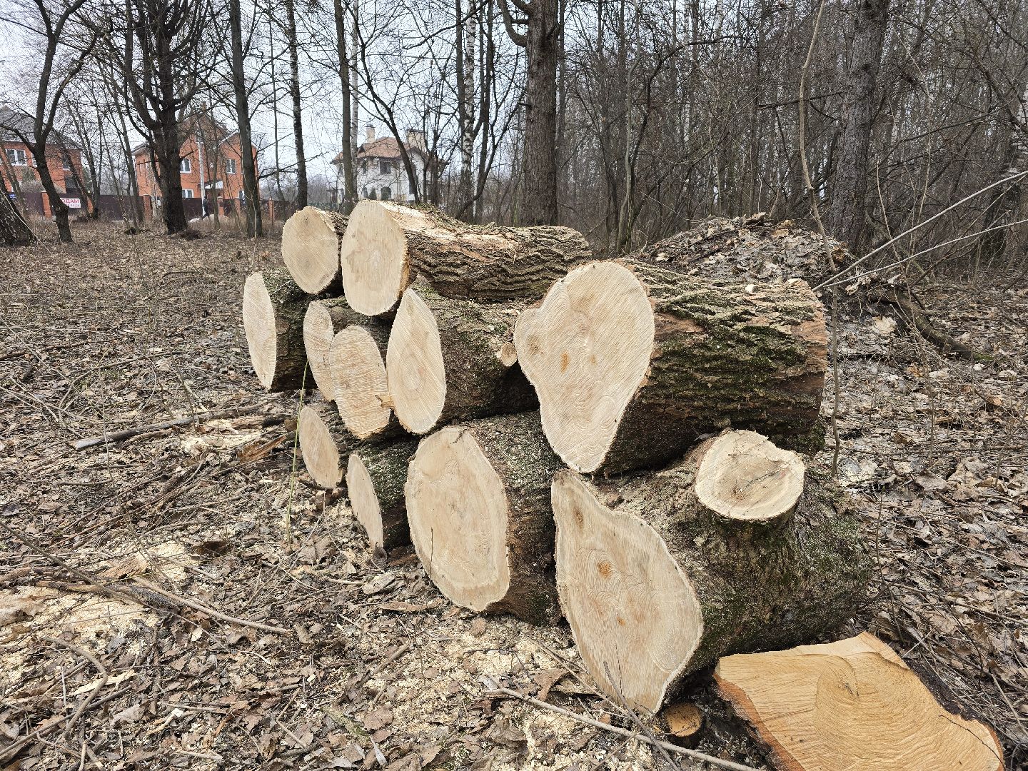 Коломна, благоустройство, парки подмосковья,