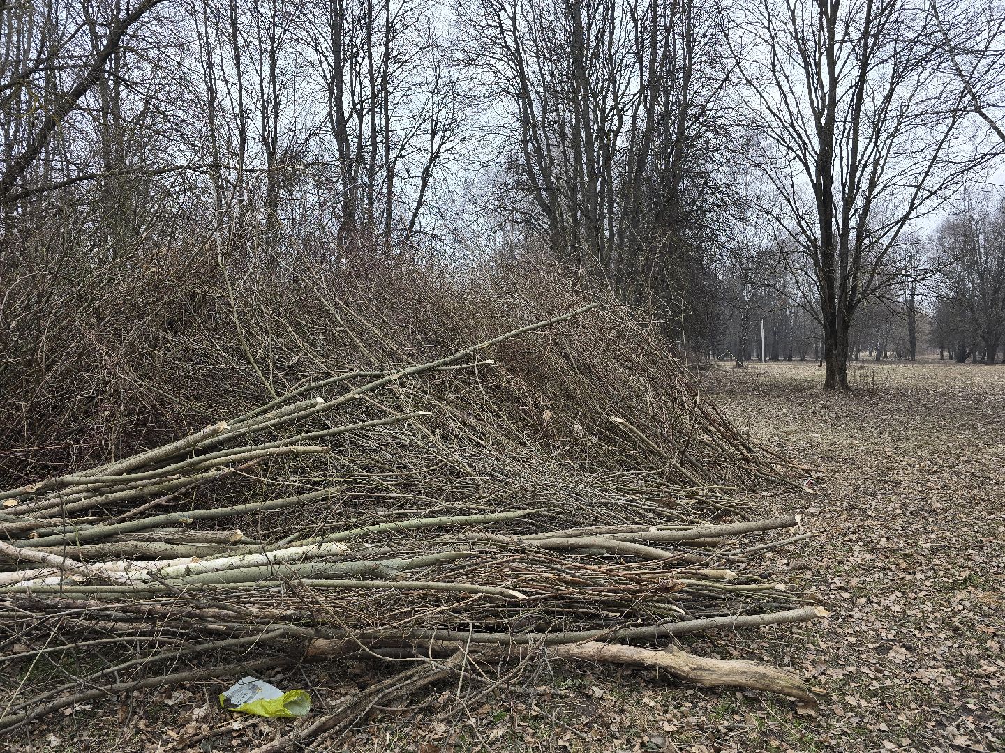Коломна, благоустройство, парки подмосковья,