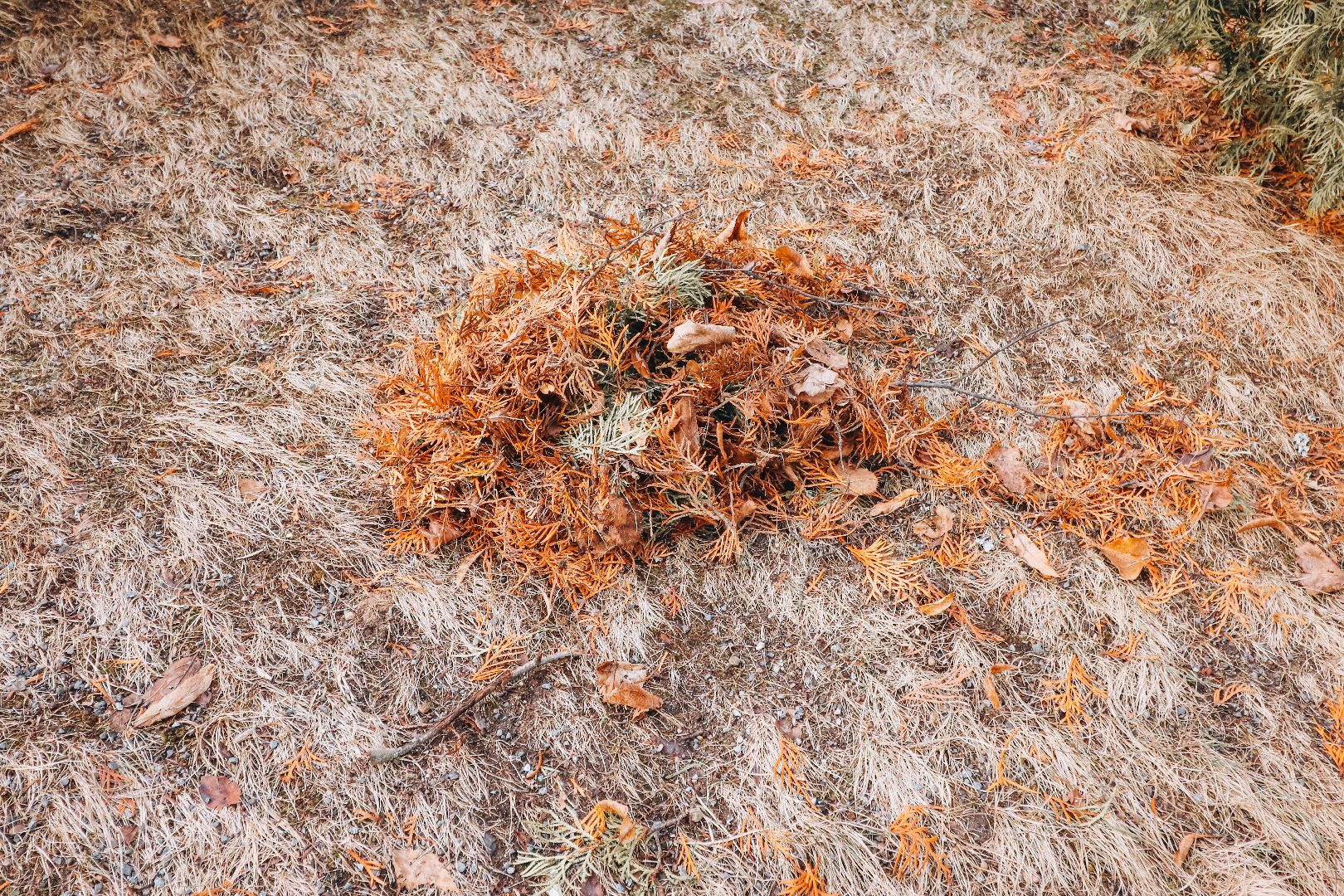 Клин, общество, благоустройство, ЖКХ, уборка городских территорий,