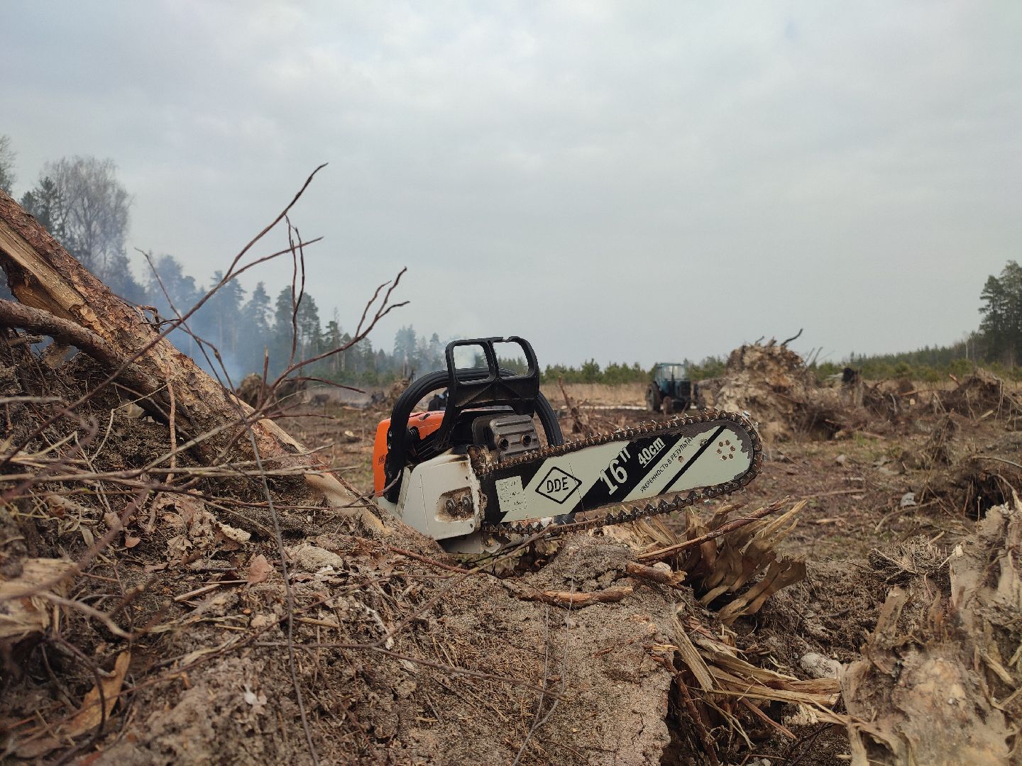 Егорьевск, Санитарная вырубка, Подмосковье, Московская область,