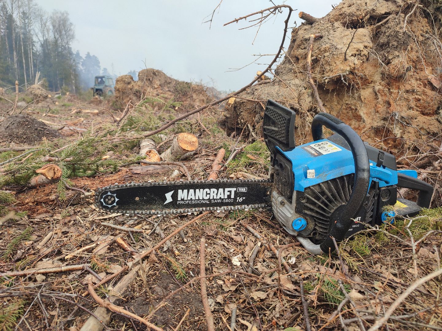 Егорьевск, Санитарная вырубка, Подмосковье, Московская область,