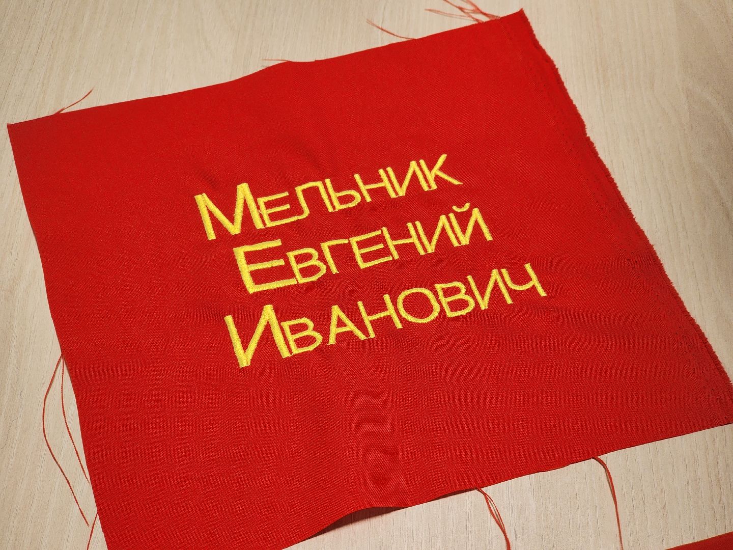 долгопрудный, ассоциация многодетных семей, ветераны великой отечественной войны, знамя победы, Женщины России,