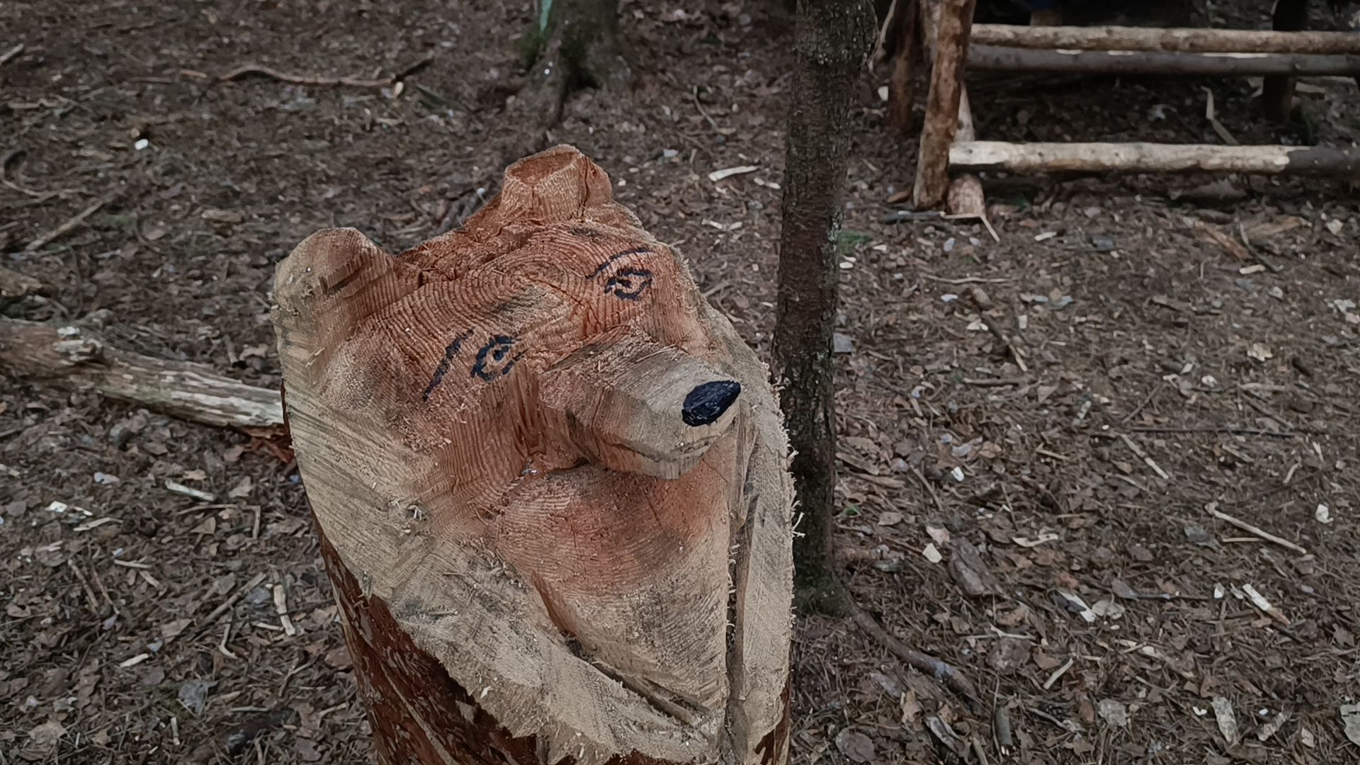 туризм, лобня, лесопарк,