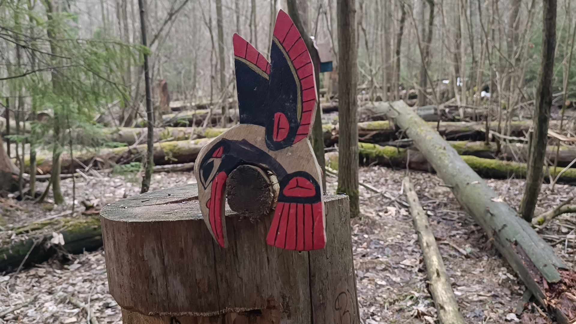 туризм, лобня, лесопарк,