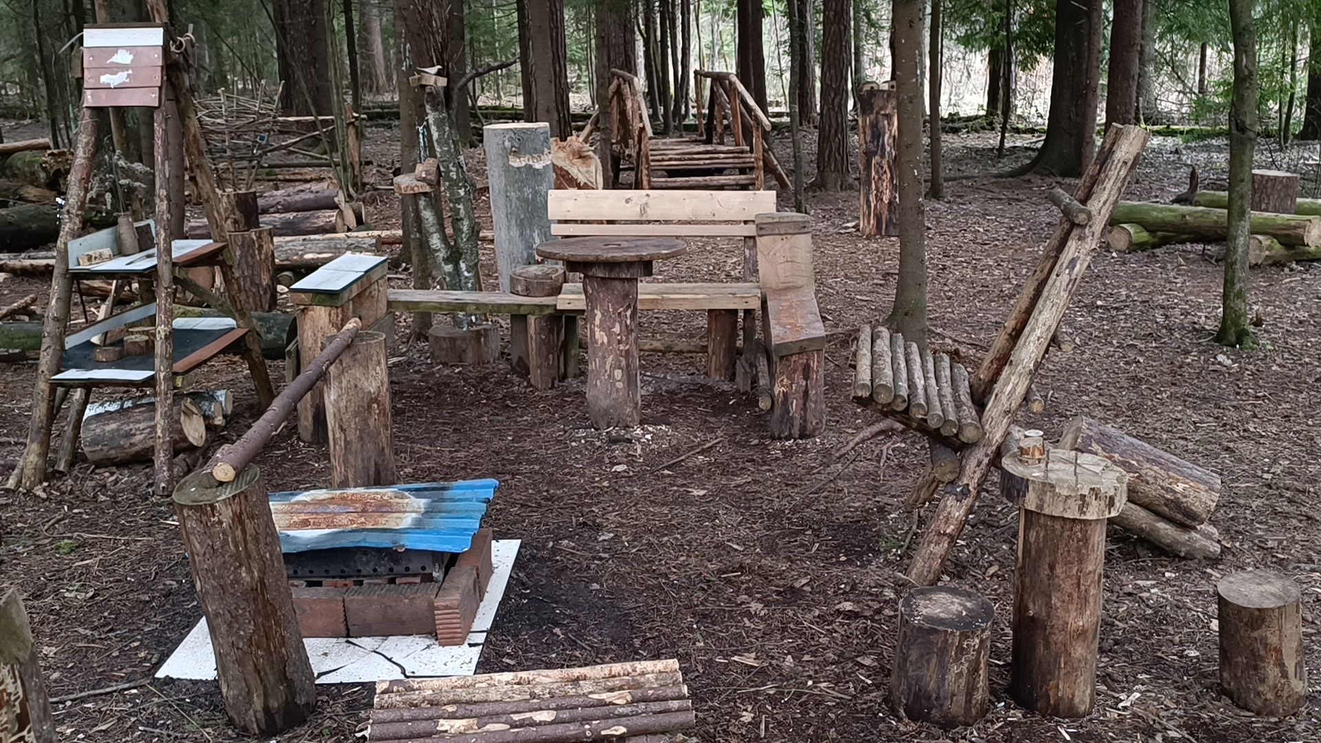 туризм, лобня, лесопарк,