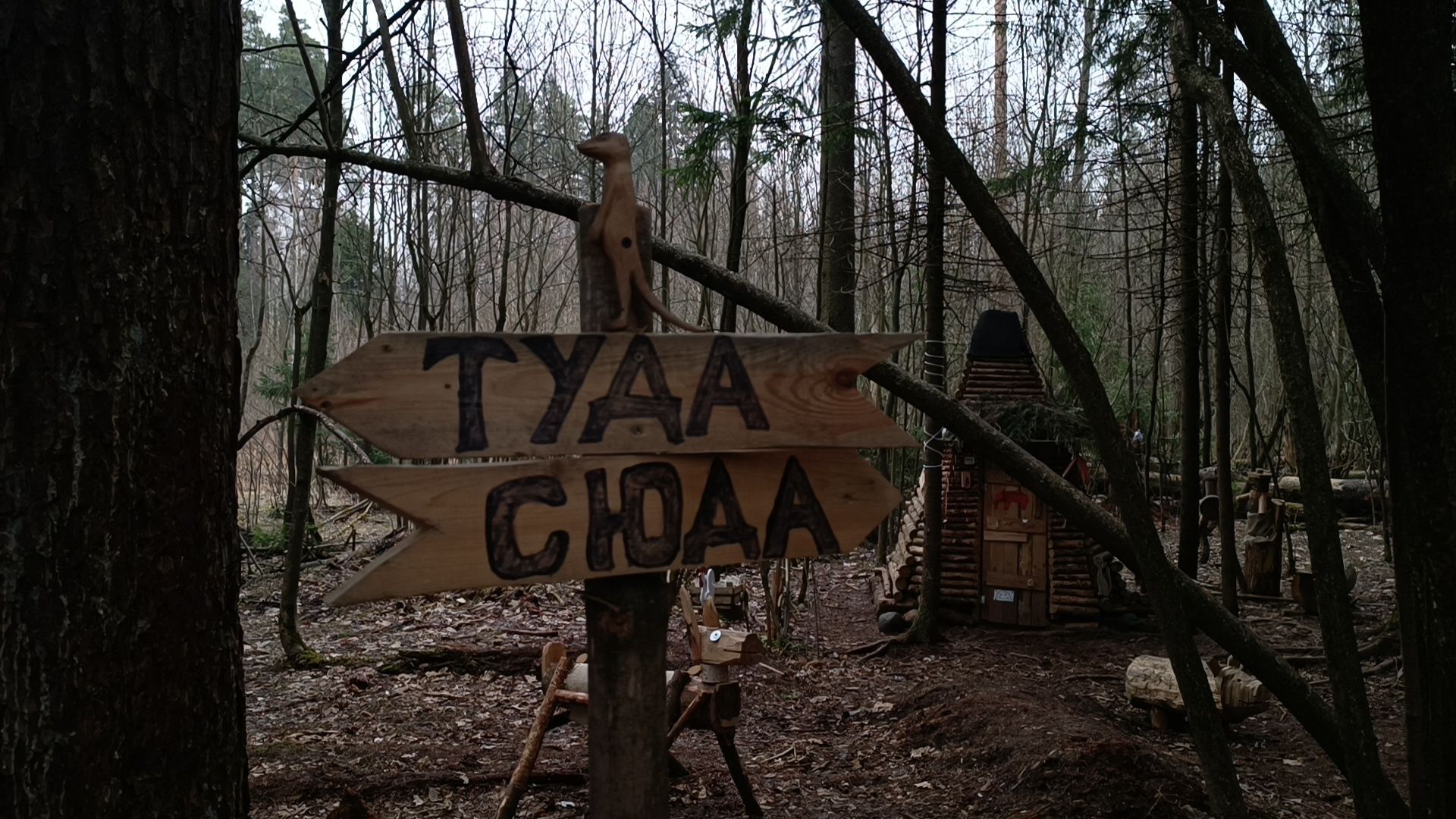 туризм, лобня, лесопарк,