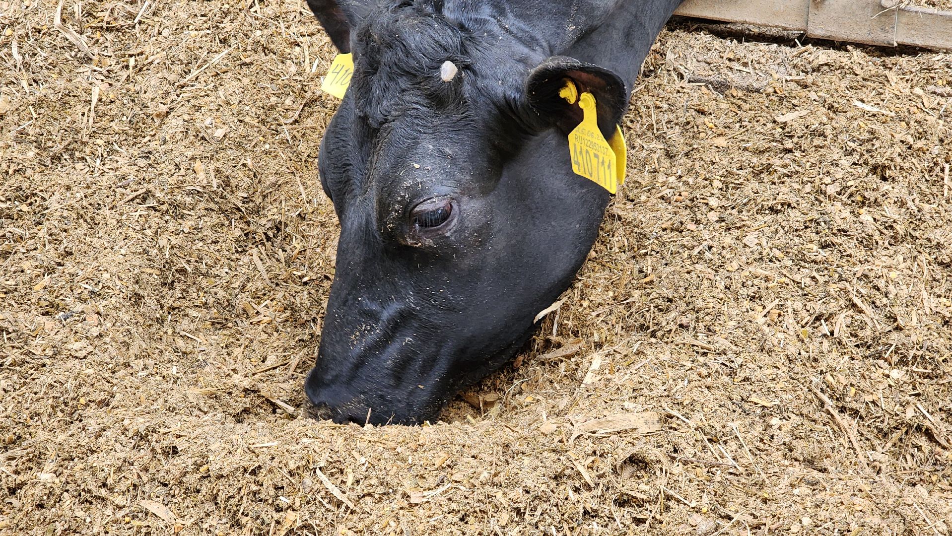 ступино, образование, агроклассы,