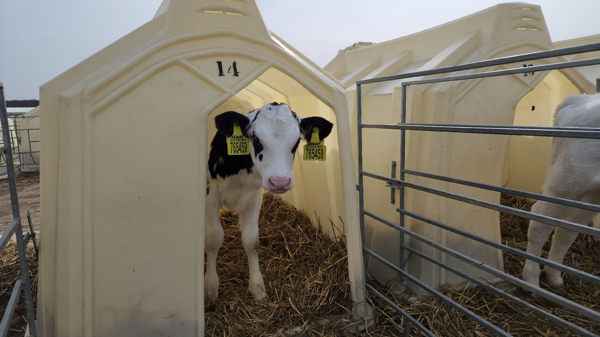 ступино, образование, агроклассы,