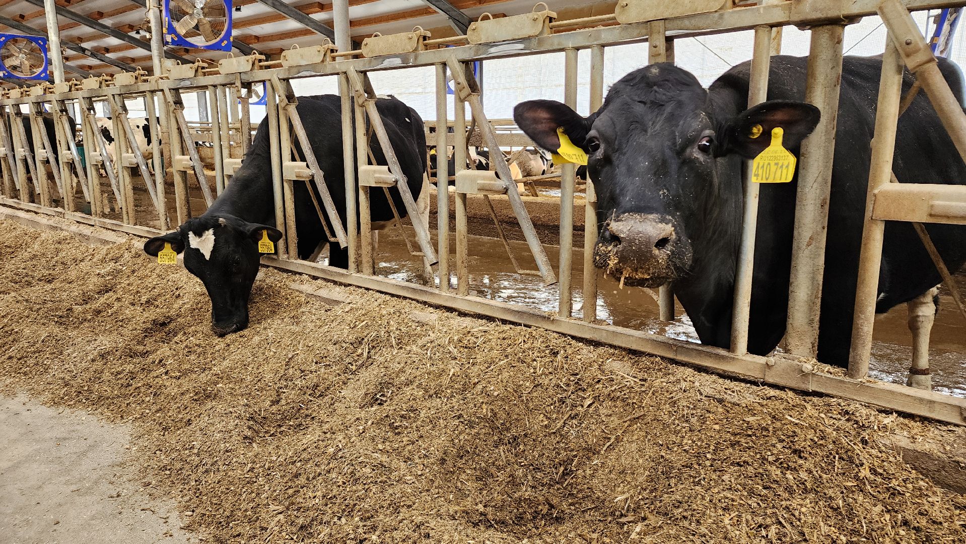 ступино, образование, агроклассы,