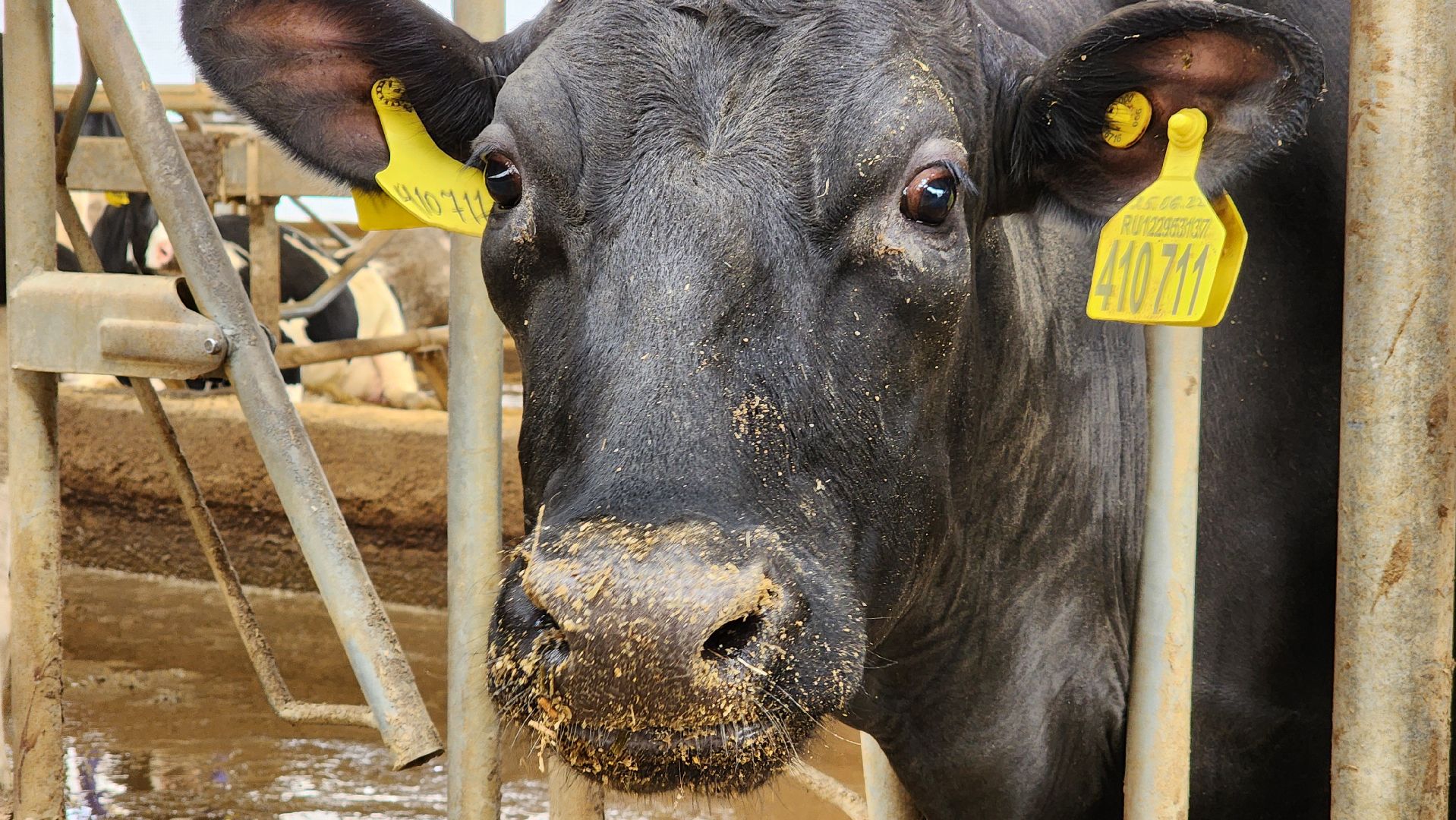 ступино, образование, агроклассы,