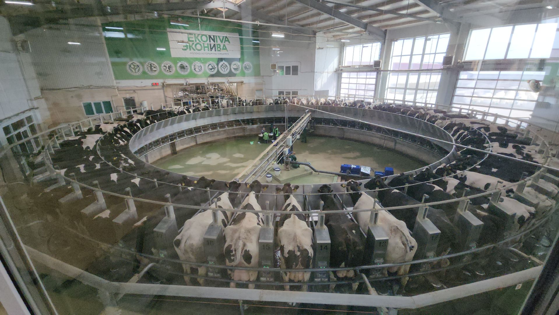 ступино, образование, агроклассы,