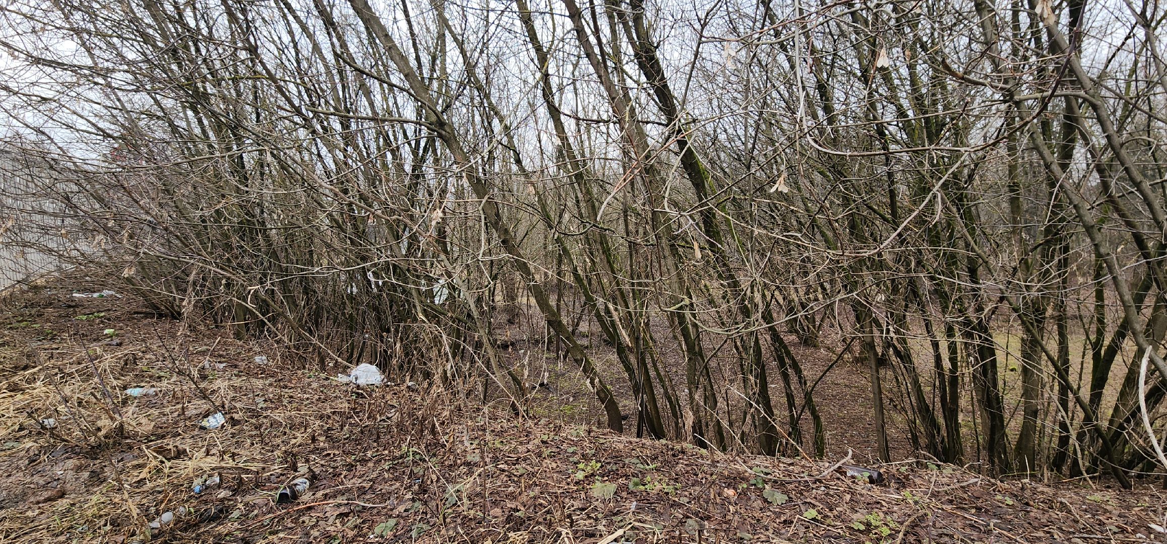 Экология, Пешие проогулки, Благоустройство, Звенигород,