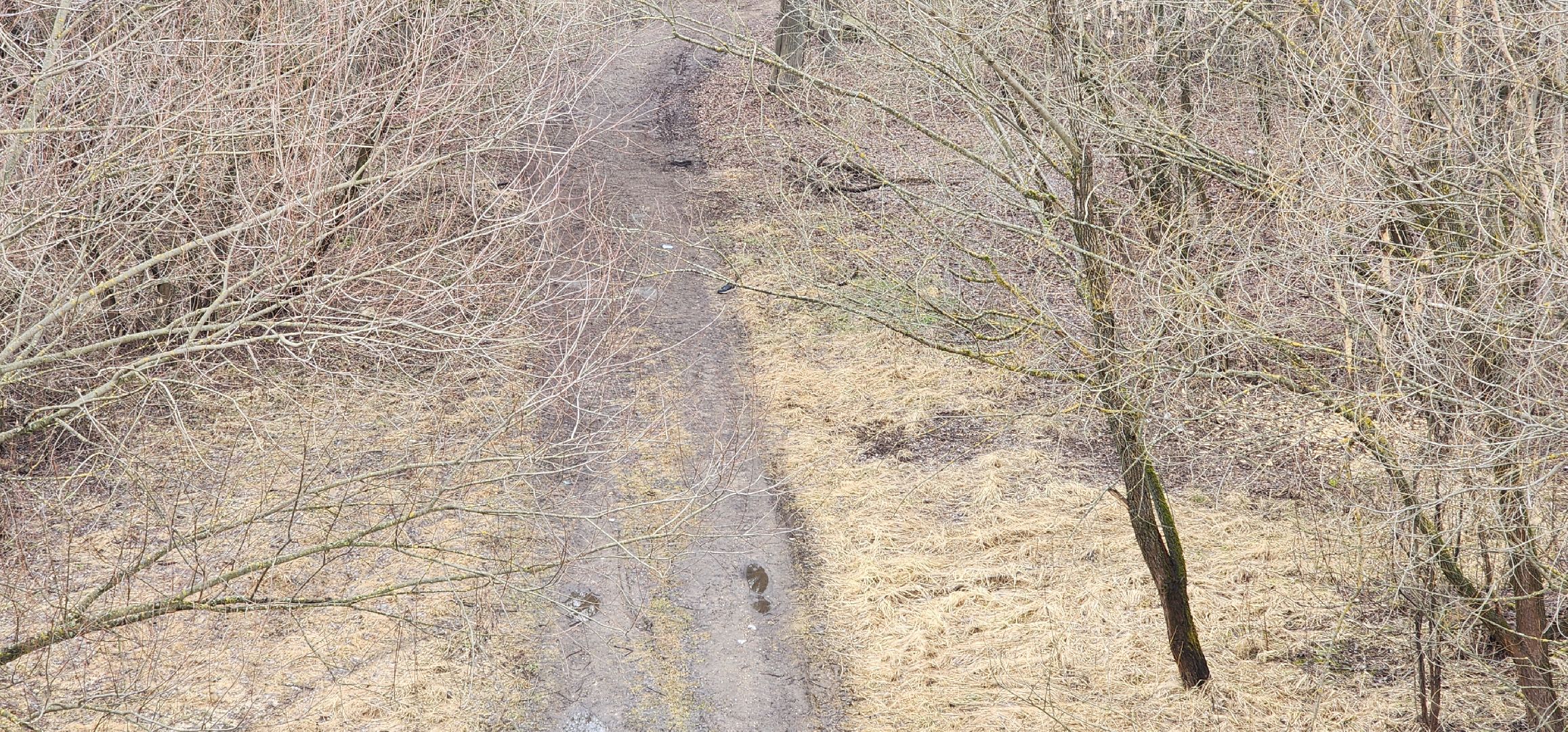 Экология, Пешие проогулки, Благоустройство, Звенигород,
