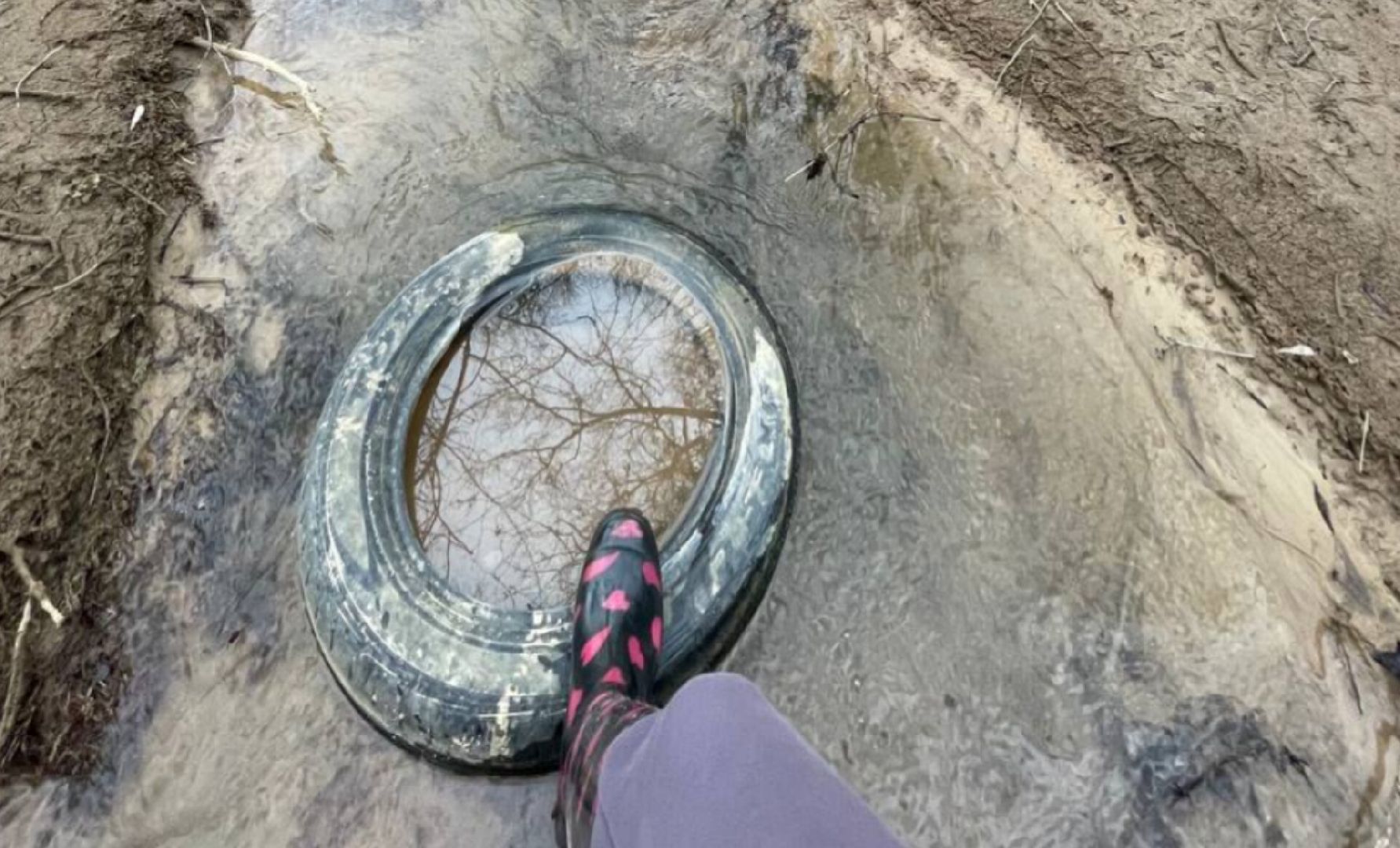 Экология, Пешие проогулки, Благоустройство, Звенигород,