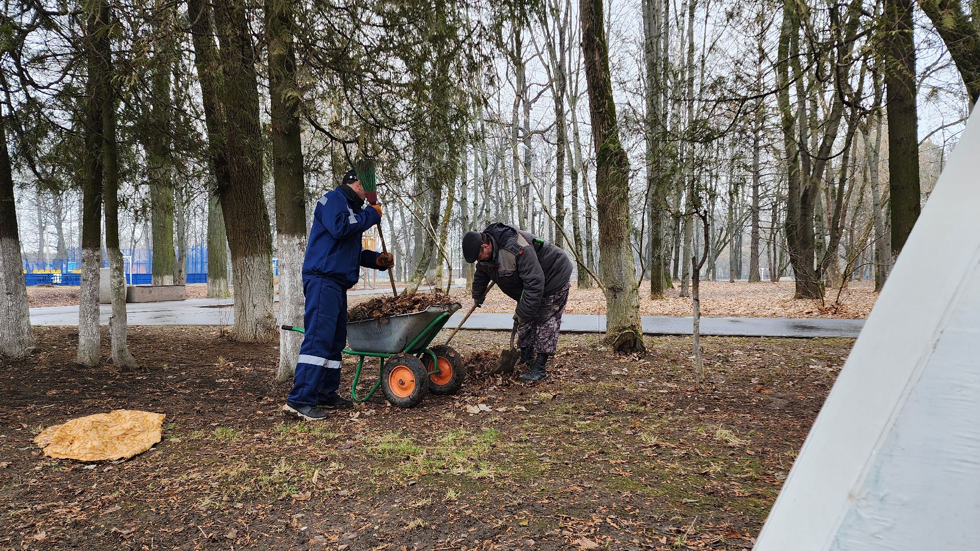 субботник, весенняя уборка,домодедово, благоустройство, подмосковье, парк,