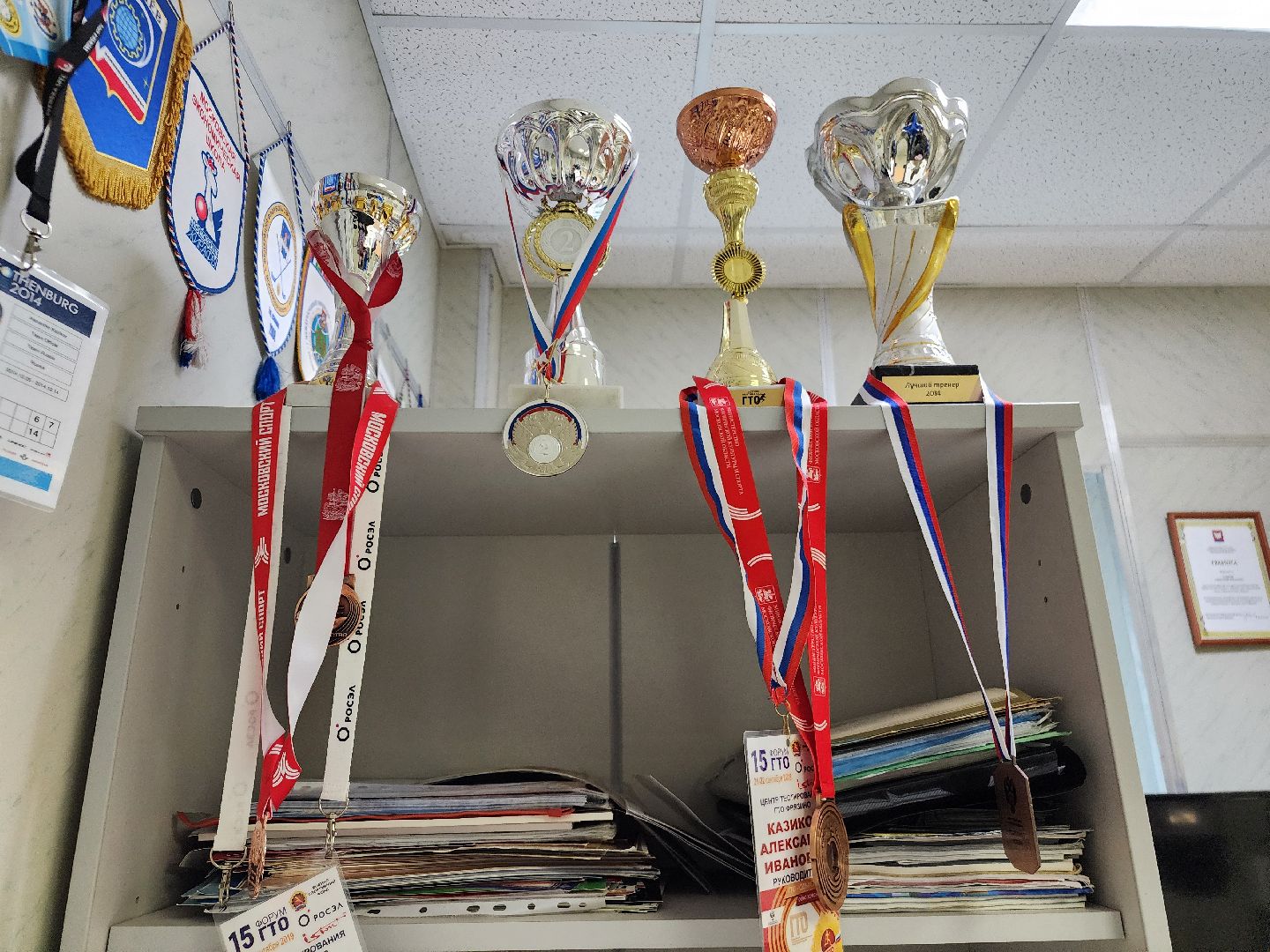 фрязино, гто, физкультура, нормы гто, спорт,