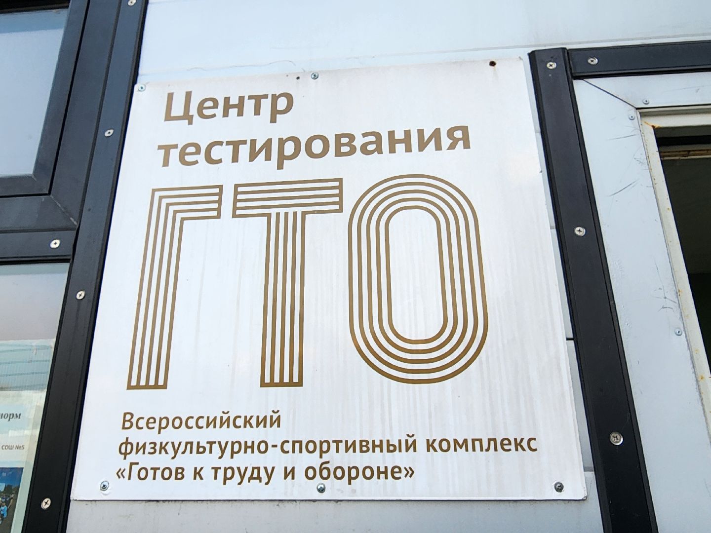 фрязино, гто, физкультура, нормы гто, спорт,