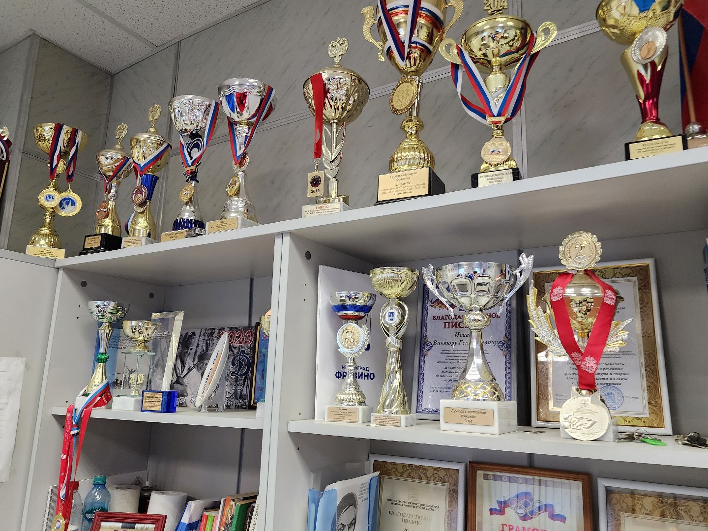 фрязино, гто, физкультура, нормы гто, спорт,