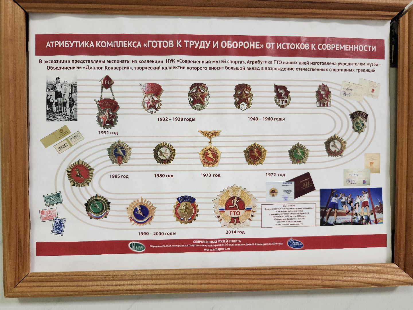 фрязино, гто, физкультура, нормы гто, спорт,