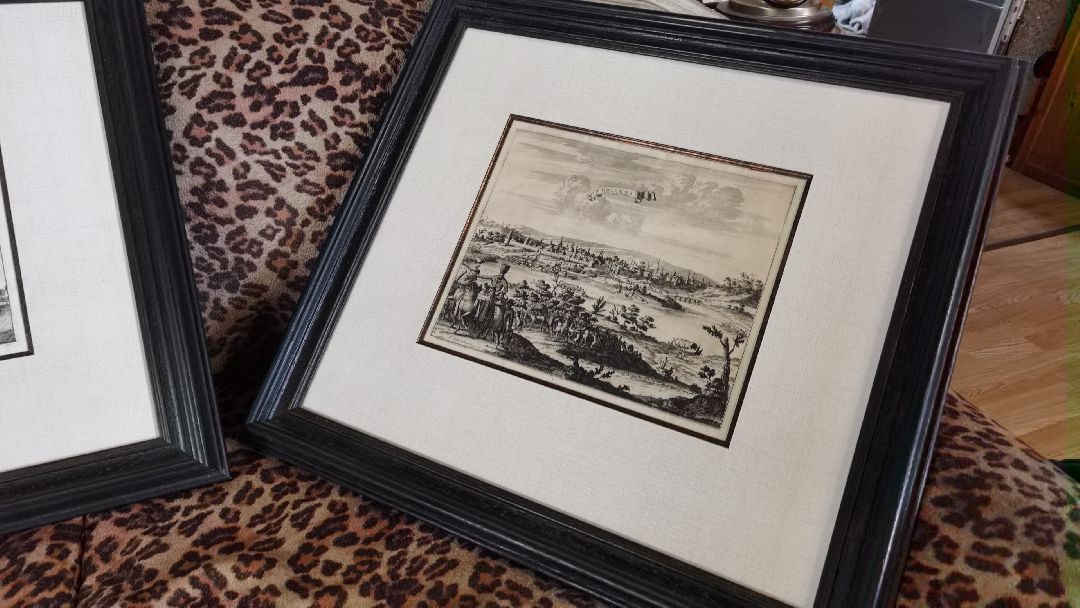 Коломна, общество