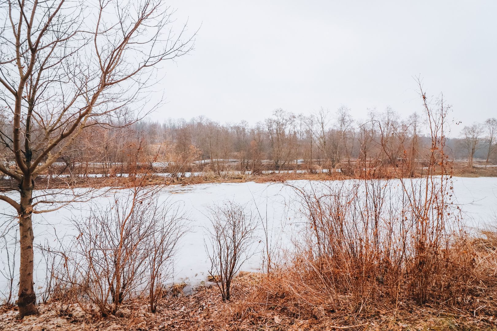 Клин, общество, благоустройство, экология, опиловка деревьев,