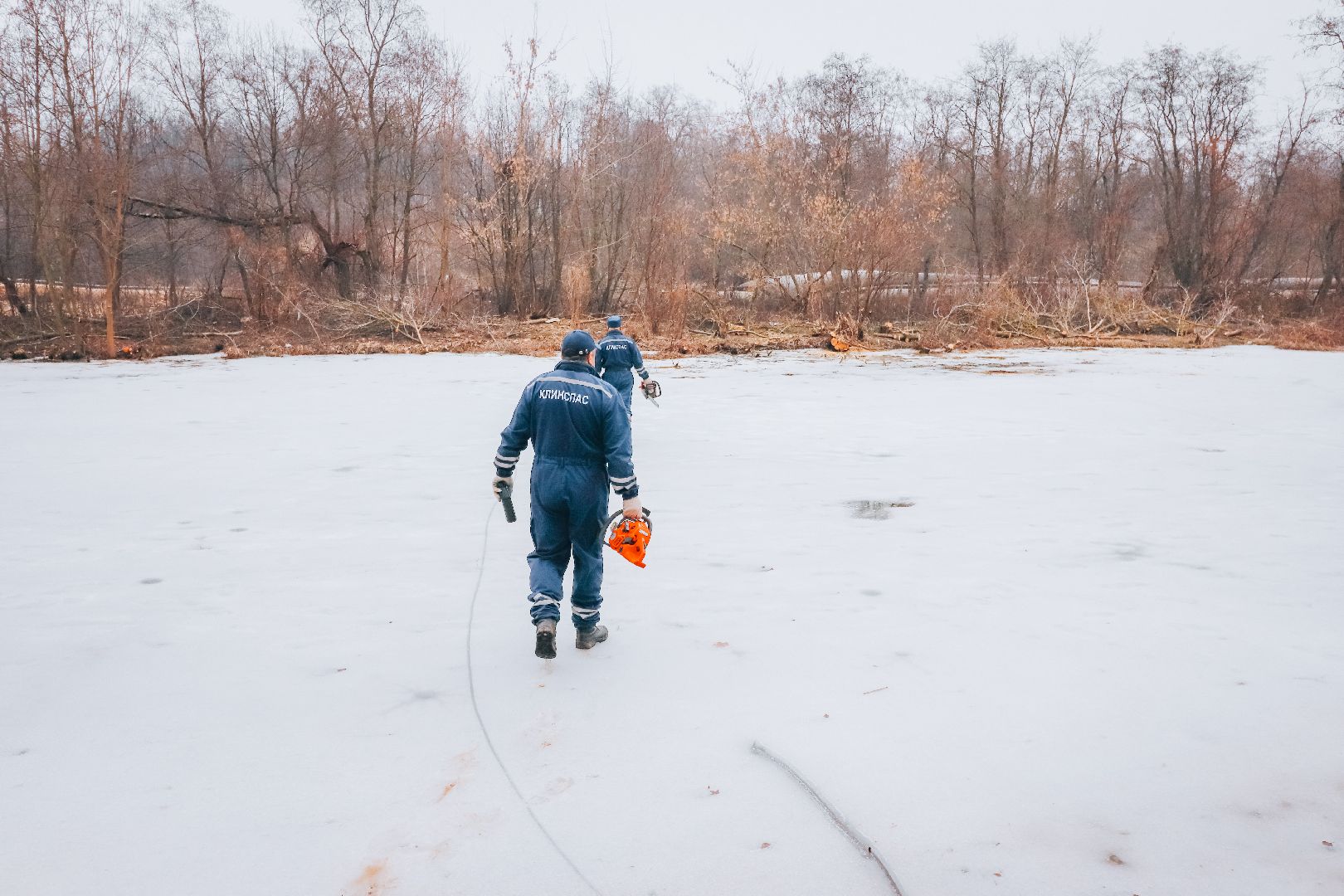 Клин, общество, благоустройство, экология, опиловка деревьев,
