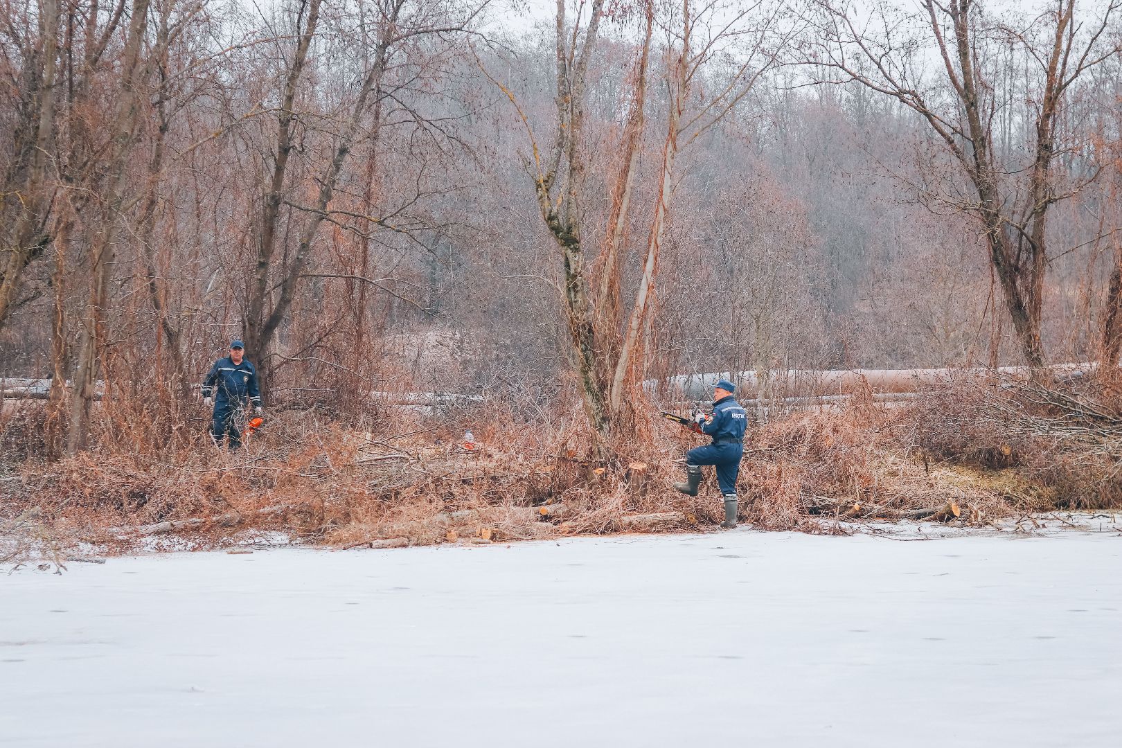 Клин, общество, благоустройство, экология, опиловка деревьев,