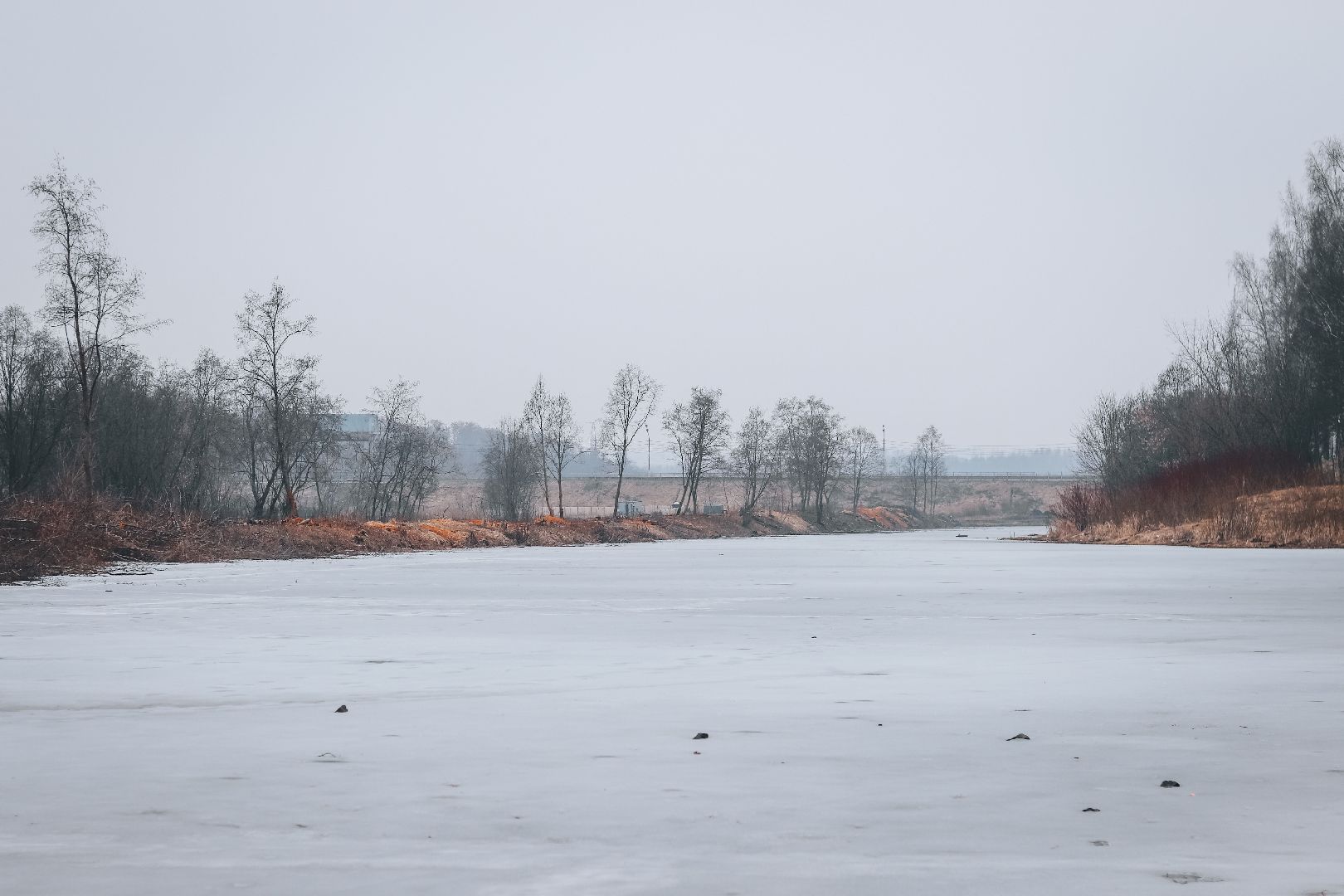 Клин, общество, благоустройство, экология, опиловка деревьев,