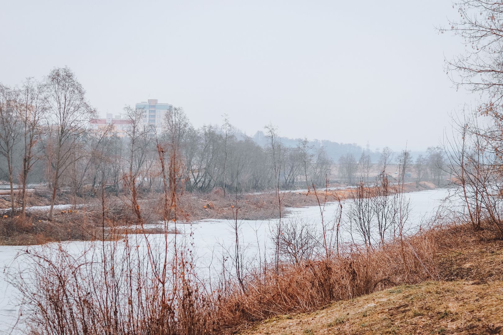Клин, общество, благоустройство, экология, опиловка деревьев,