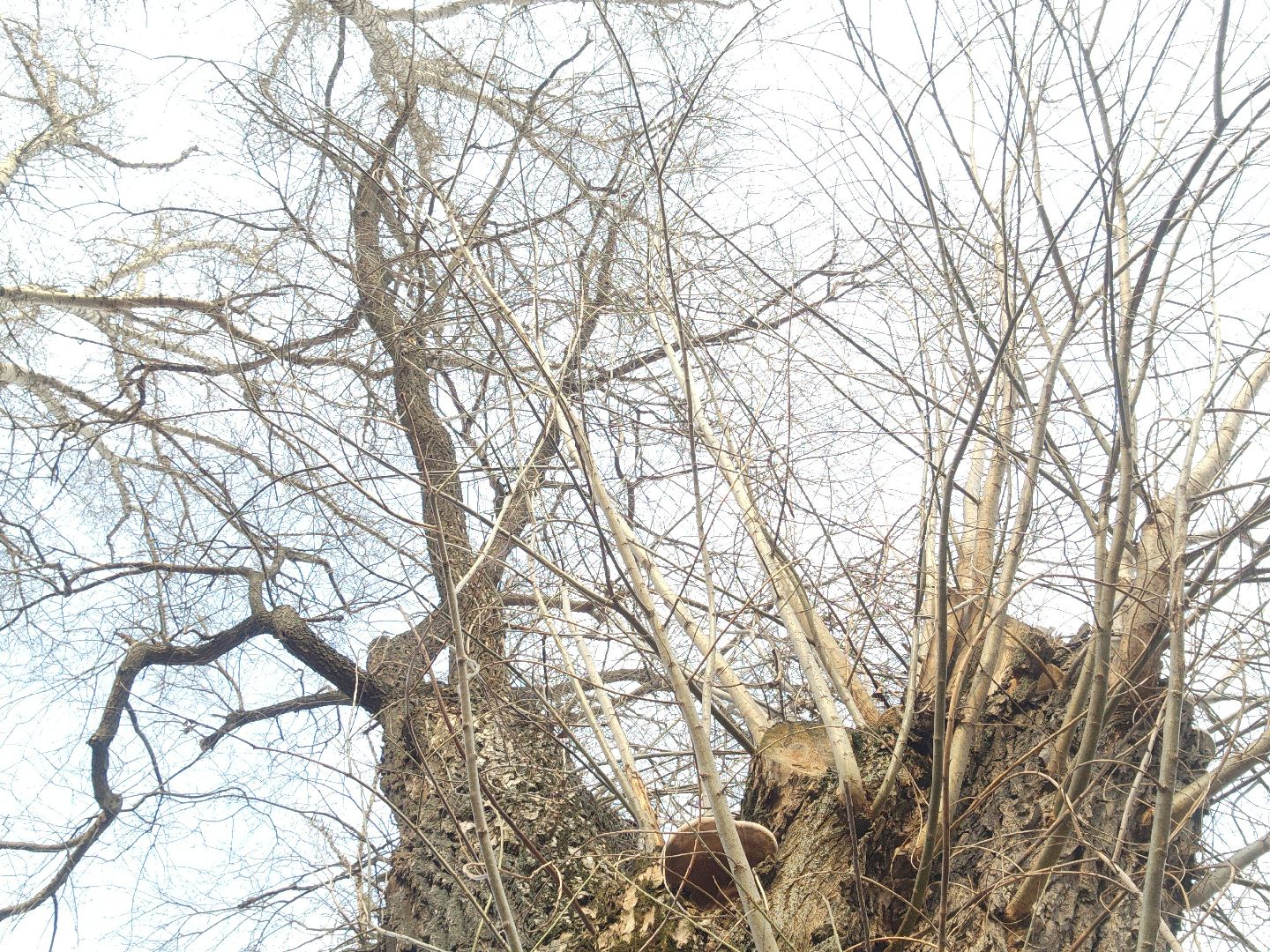 по просьбам жителей, орехово зуево,жкх,