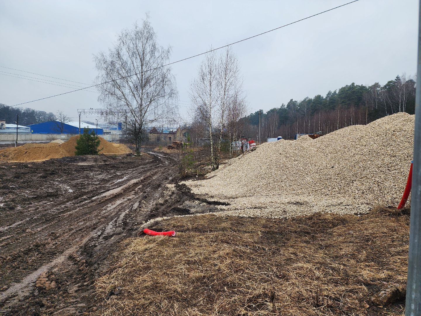 красноармейск, городской округ пушкинский, банный лес, лесопарк, выездная администрация,