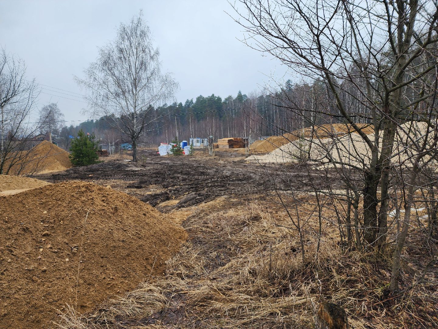 красноармейск, городской округ пушкинский, банный лес, лесопарк, выездная администрация,