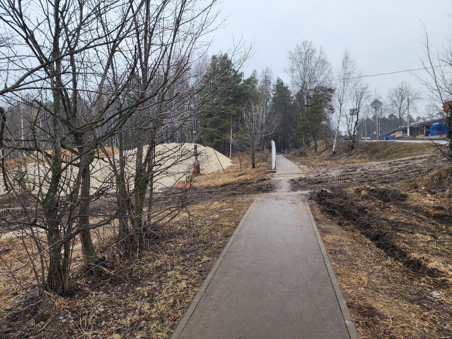красноармейск, городской округ пушкинский, банный лес, лесопарк, выездная администрация,