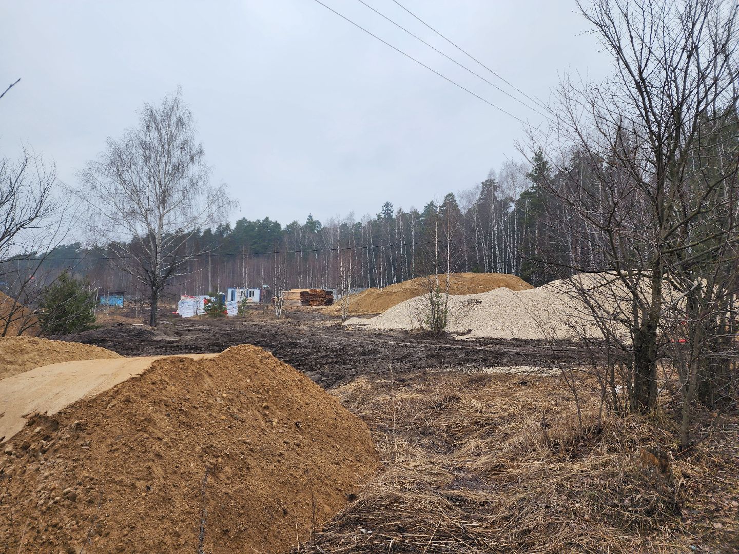 красноармейск, городской округ пушкинский, банный лес, лесопарк, выездная администрация,