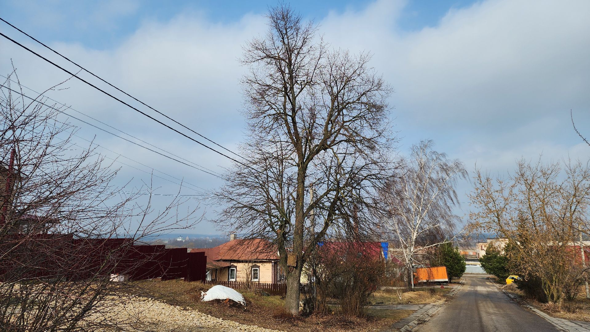 кашира, выездная администрация, спил деревьев, аварийное дерево, жкх, дороги,
