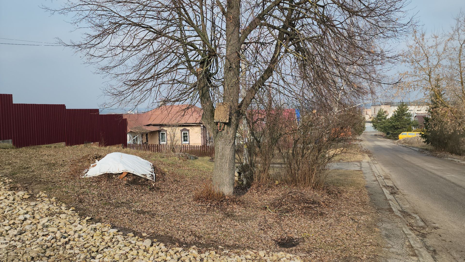 кашира, выездная администрация, спил деревьев, аварийное дерево, жкх, дороги,