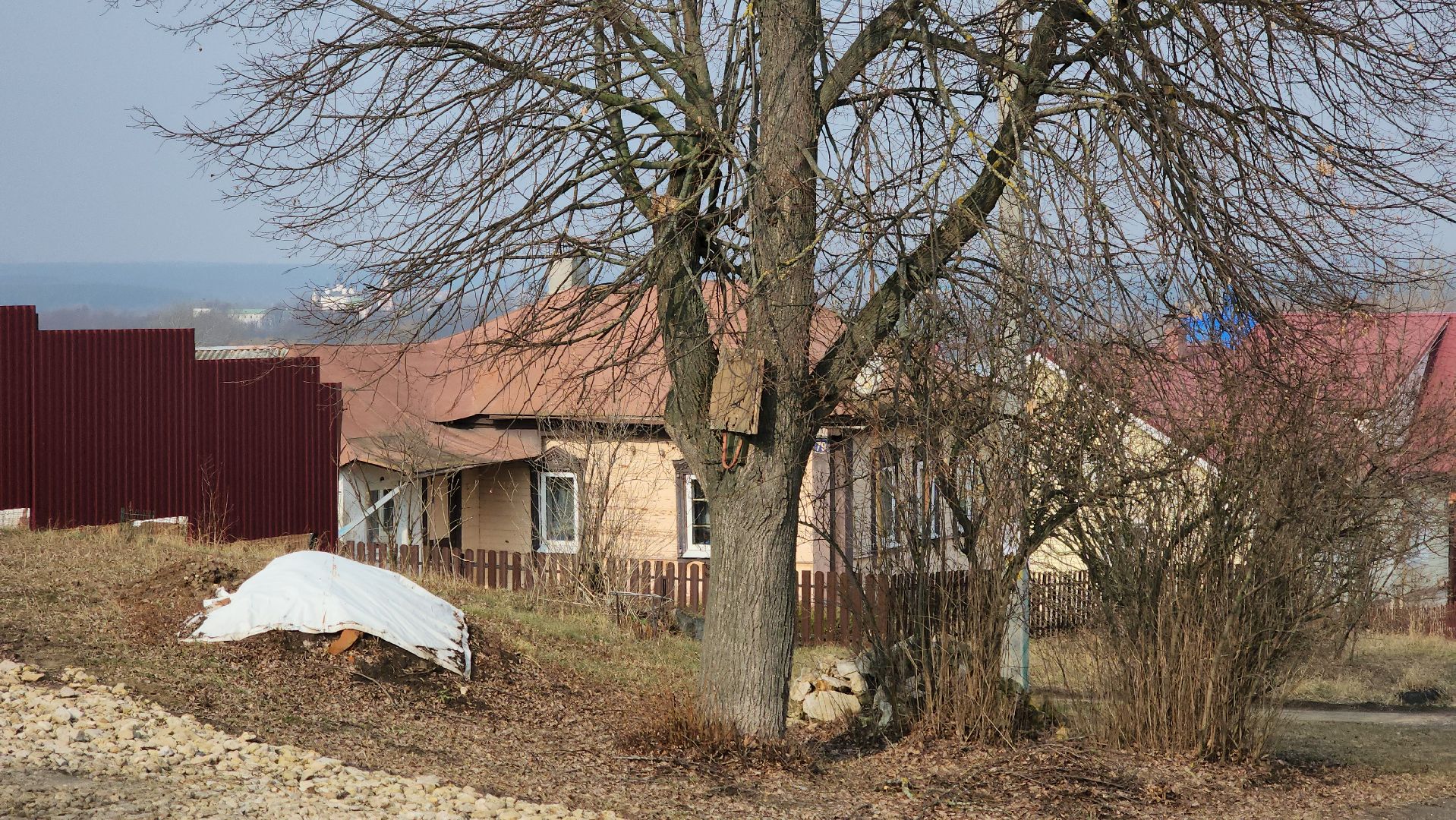 кашира, выездная администрация, спил деревьев, аварийное дерево, жкх, дороги,