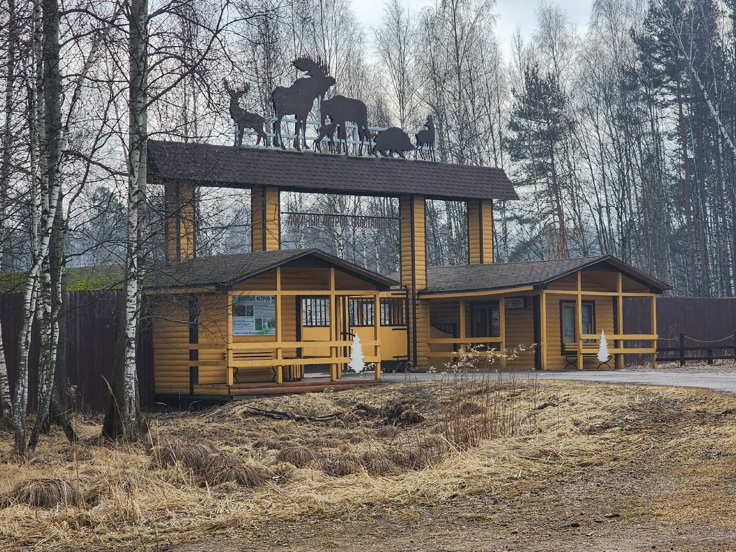 животные, лось, мытищи,