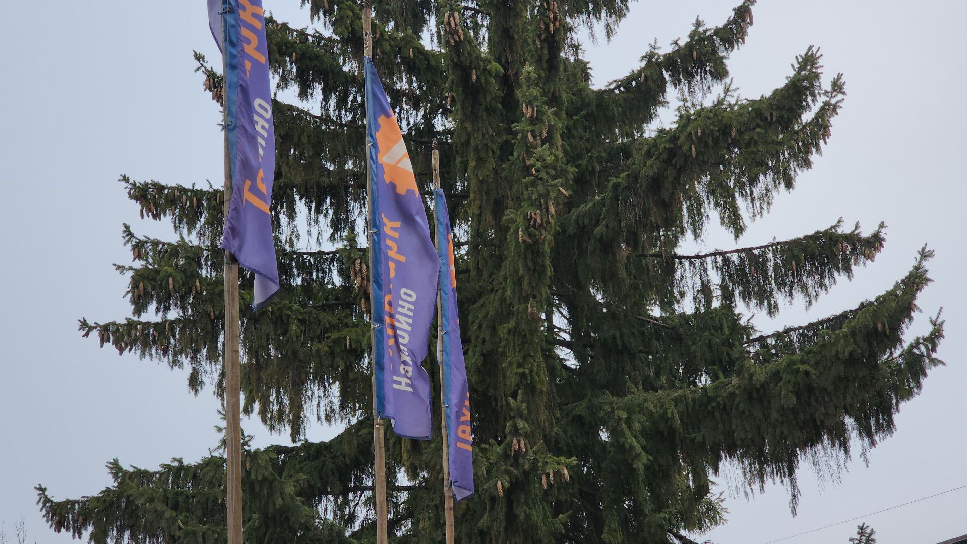 бизнес, технопарк, красногорск,