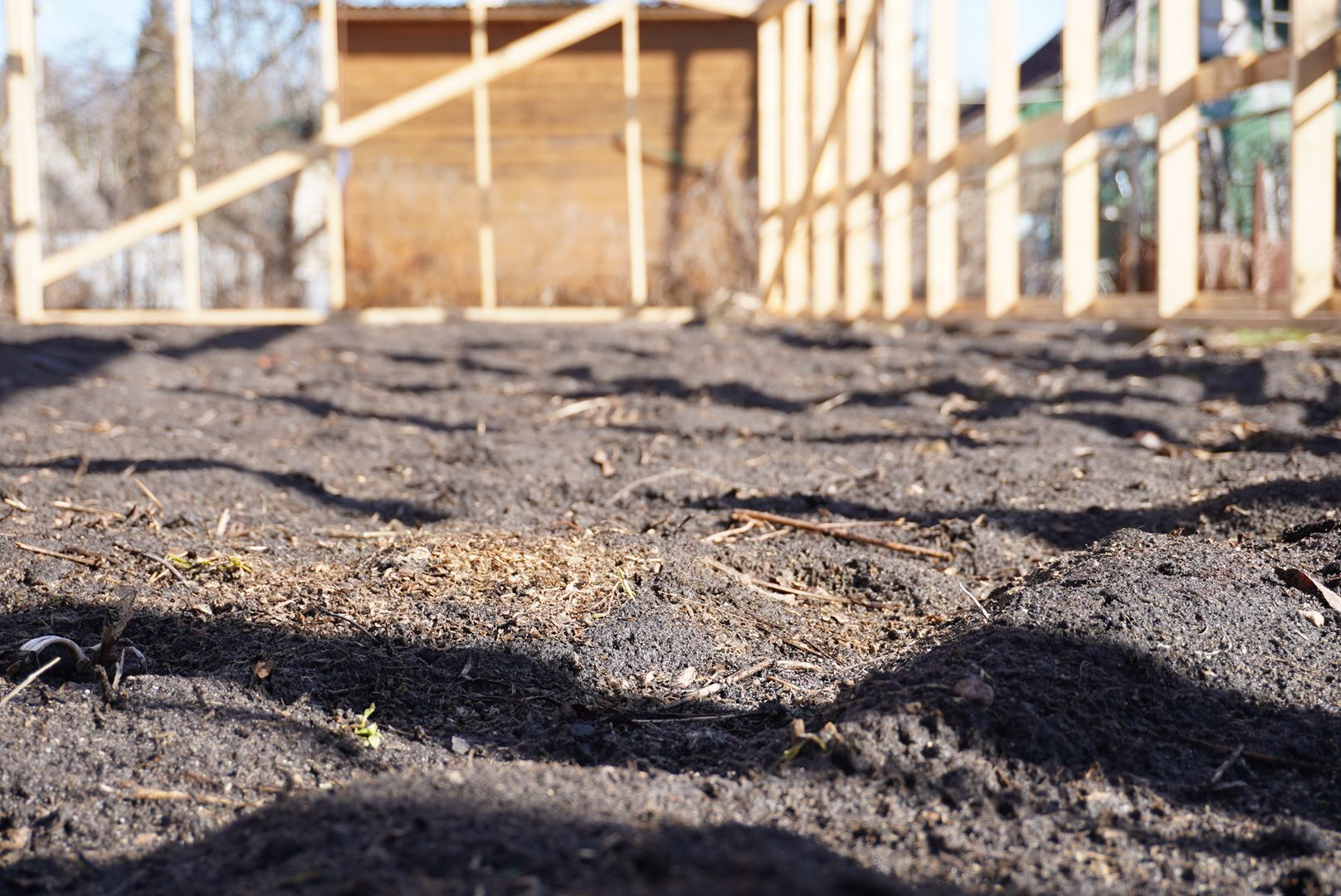 Электрогорск, Рекорд, сельское хозяйство,