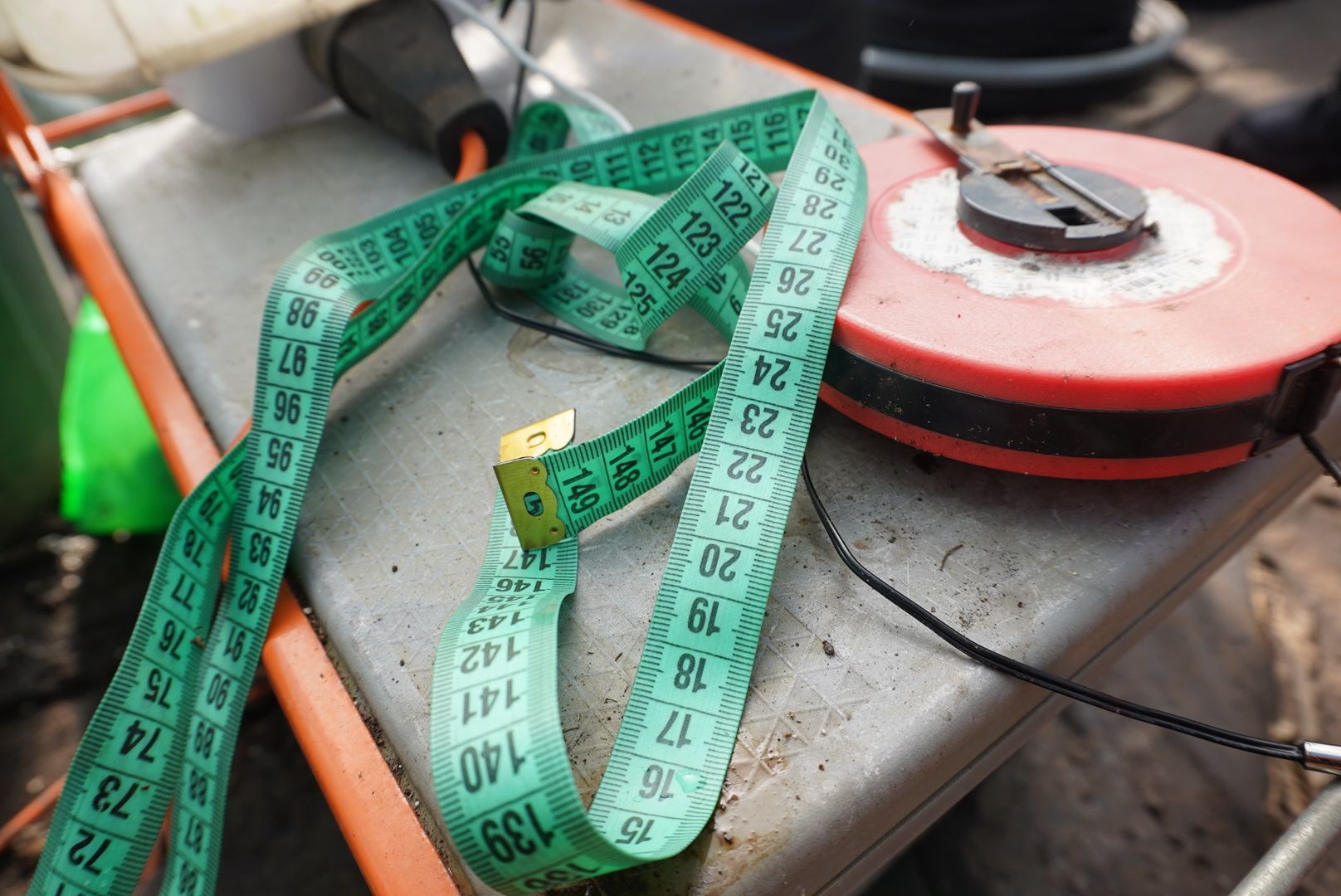 Электрогорск, Рекорд, сельское хозяйство,