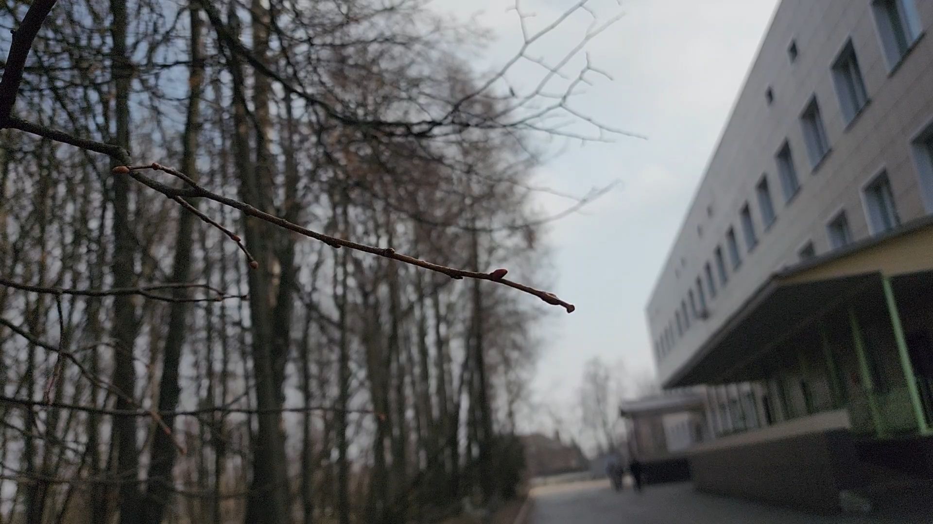 Бронницы, Новый врач, Врач-пульмонолог, Аллергия,