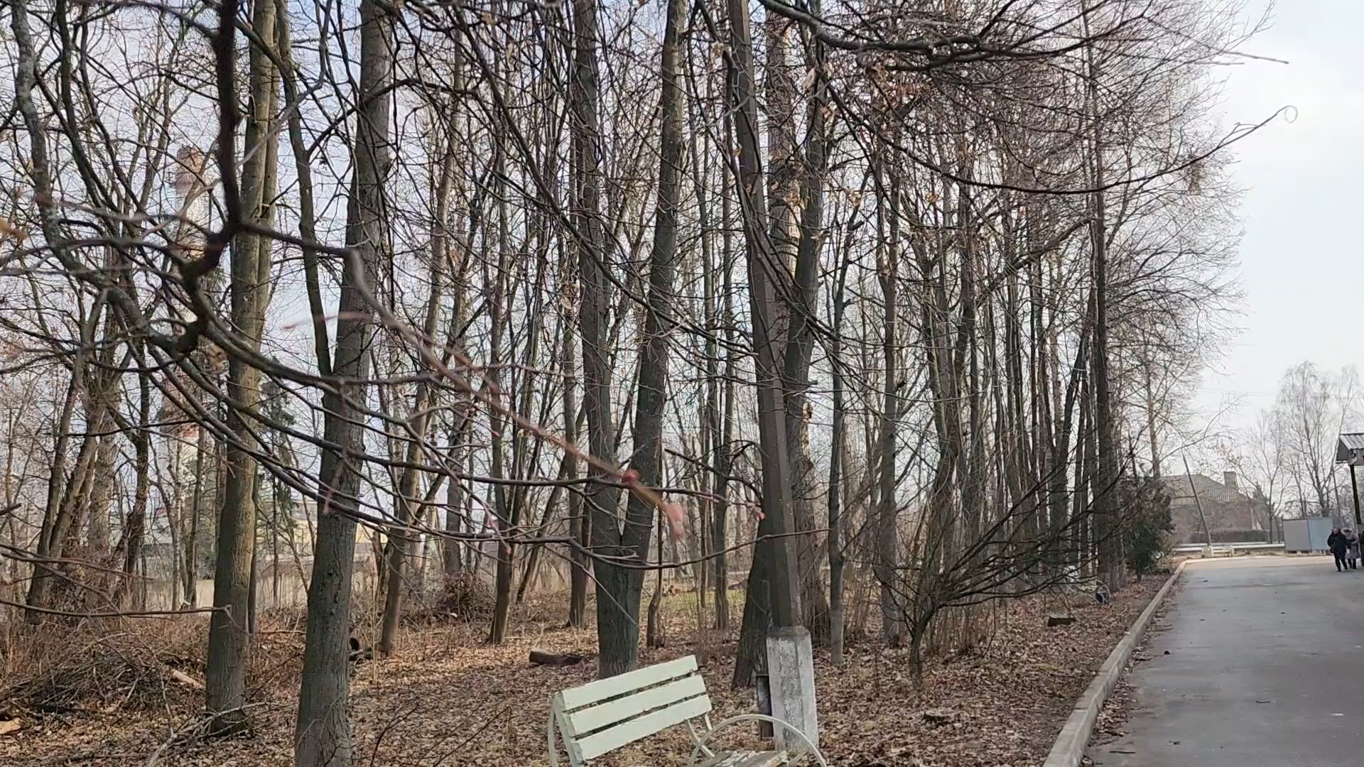 Бронницы, Новый врач, Врач-пульмонолог, Аллергия,