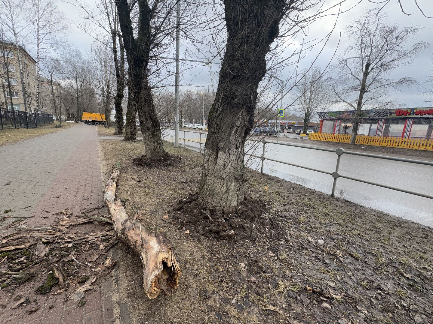 балашиха, ветер, непогода, деревья,