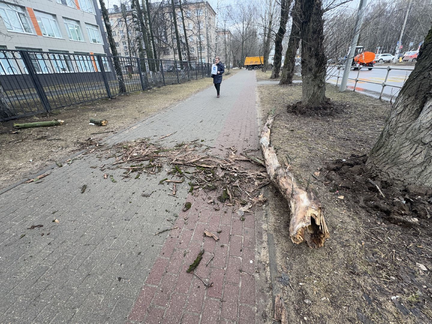 балашиха, ветер, непогода, деревья,