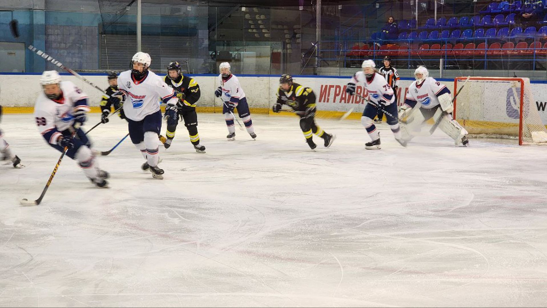 Дмитров, ХК Торнадо, ЖХЛ, Минспорта,