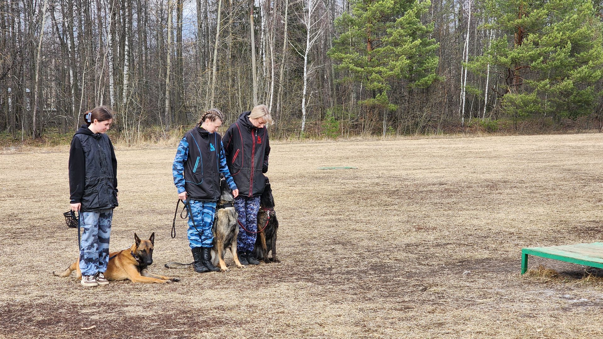 протвино, из выпускниц в преподаватели, губернский колледж, образование,