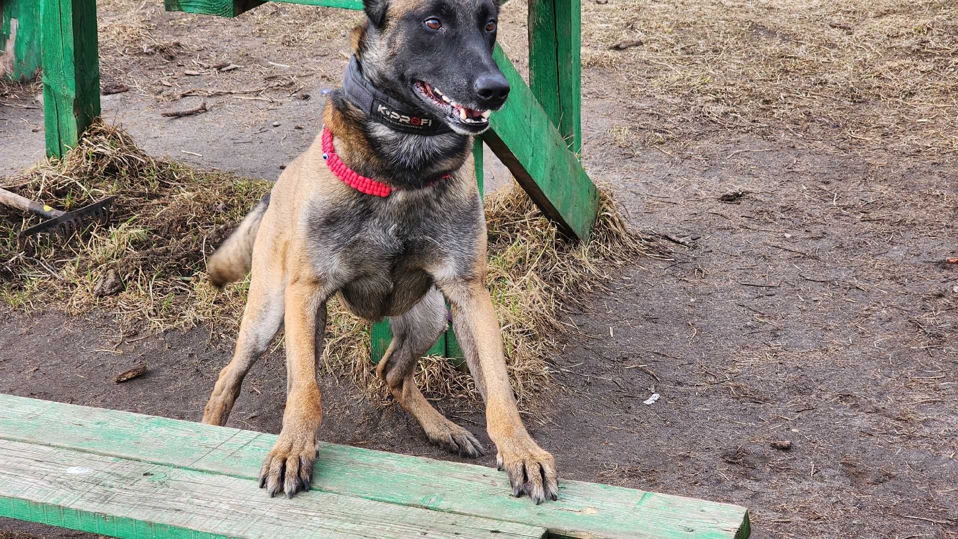 протвино, из выпускниц в преподаватели, губернский колледж, образование,